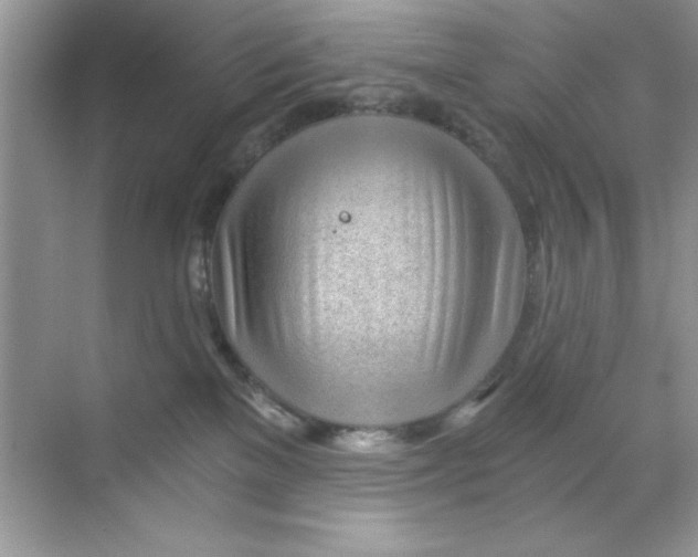 X0000068730137200605192329