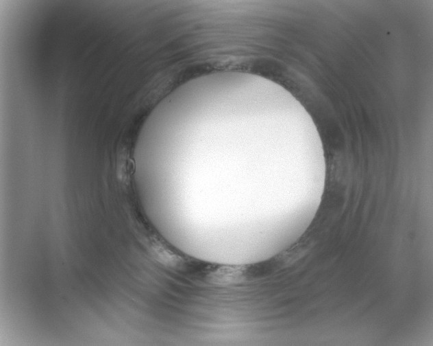 X0000068730138200605192329