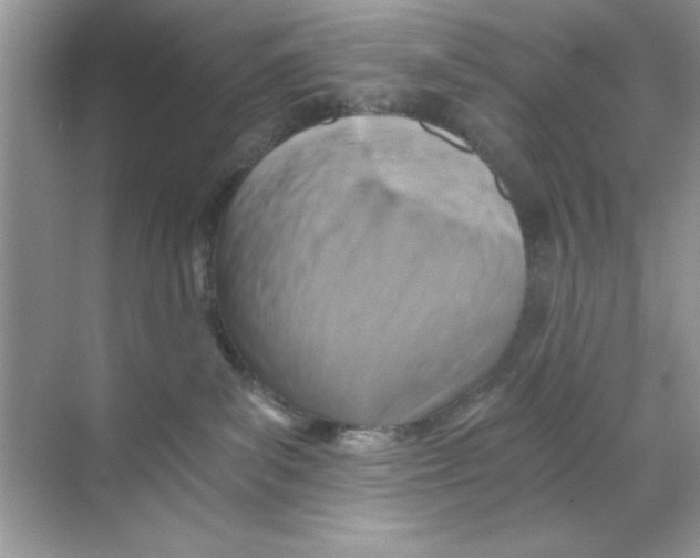 X0000068730139200605192329