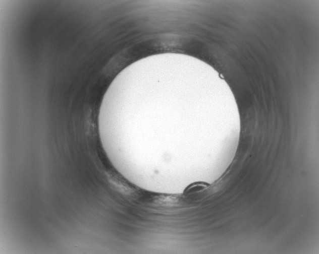 X0000068730140200605192329