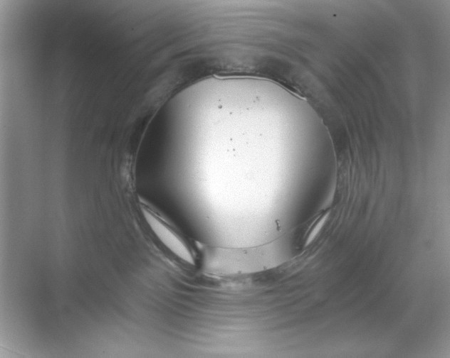 X0000068730141200605192329