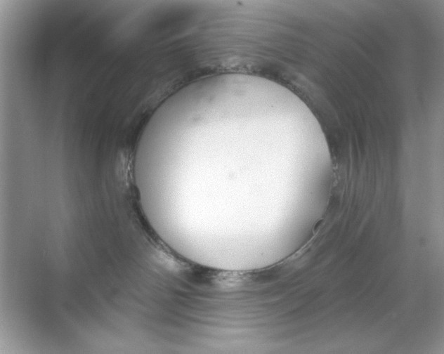 X0000068730142200605192329