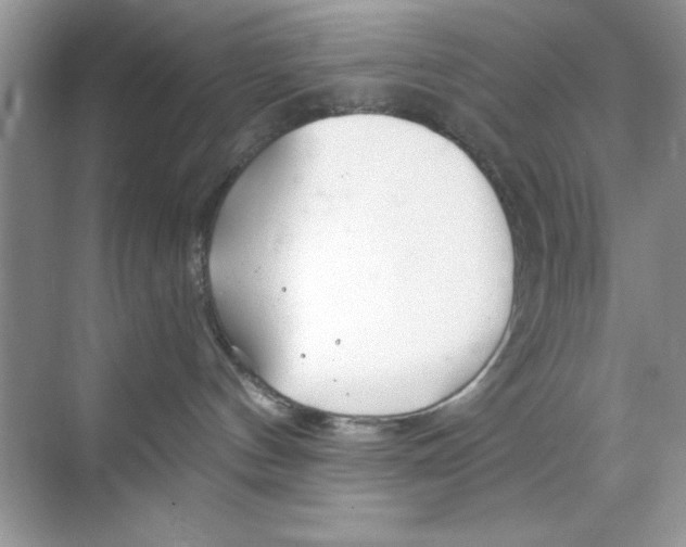 X0000068730144200605192329