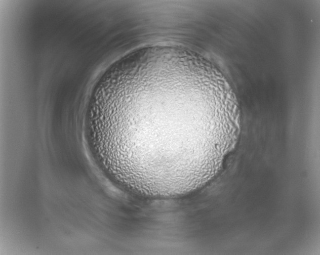 X0000068730145200605192328