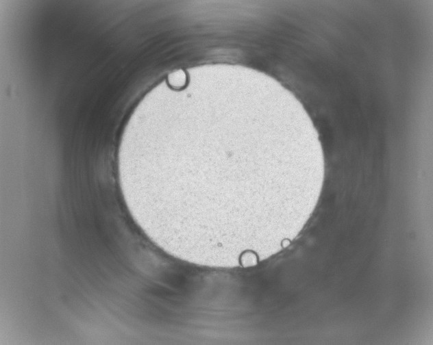 X0000068730146200605192328