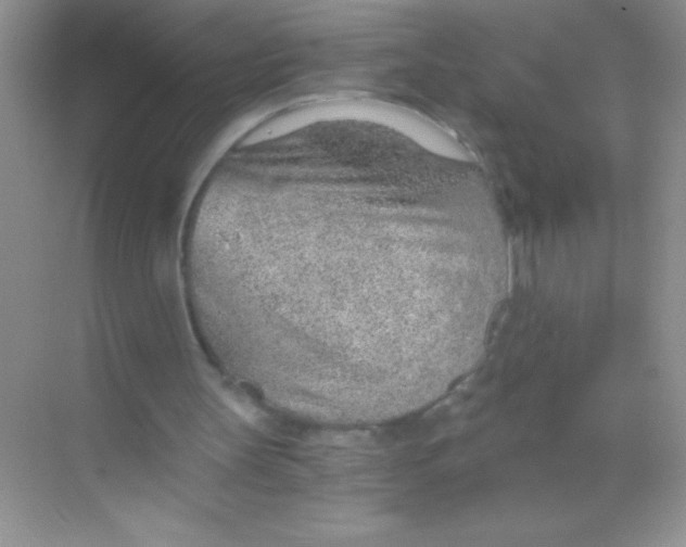 X0000068730147200605192328