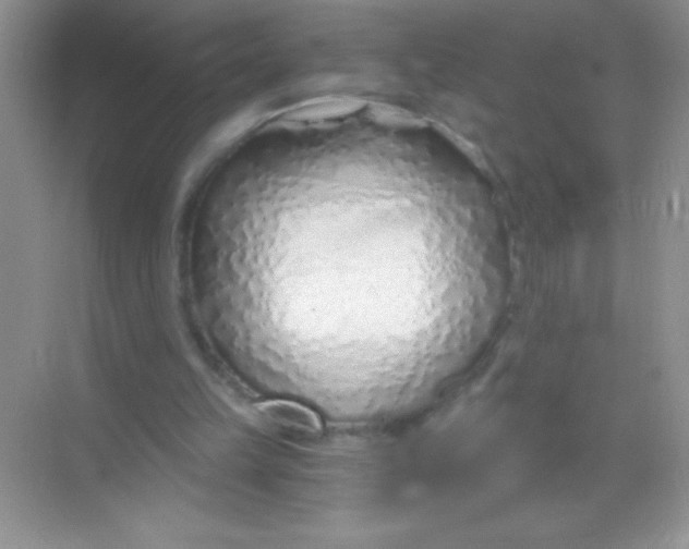 X0000068730149200605192328