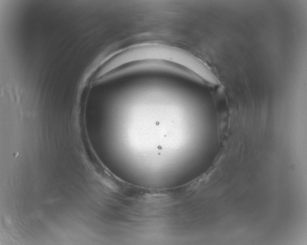 X0000068730150200605192328