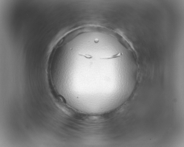 X0000068730151200605192328