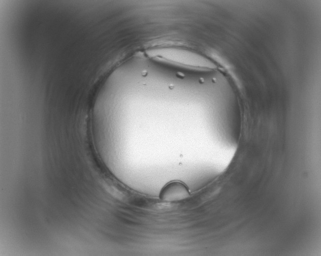 X0000068730153200605192328