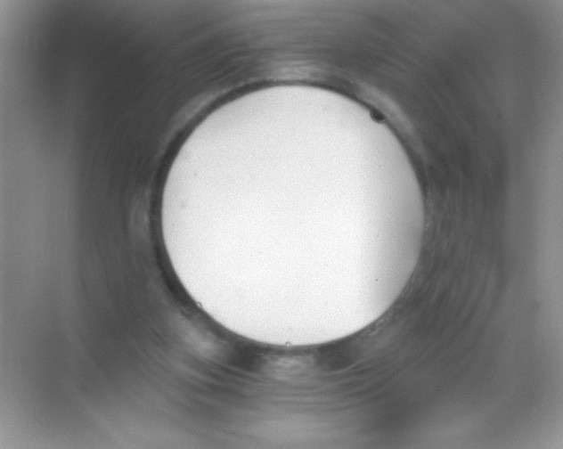 X0000068730155200605192328