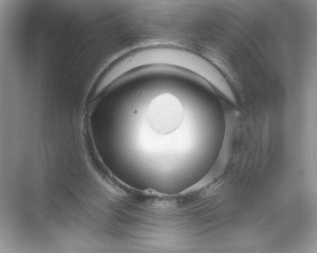 X0000068730156200605192328