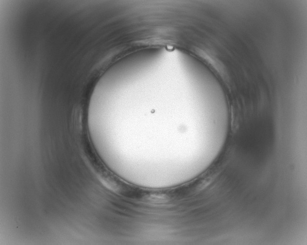 X0000068730157200605192328