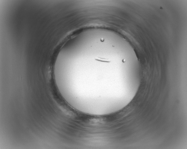 X0000068730160200605192328