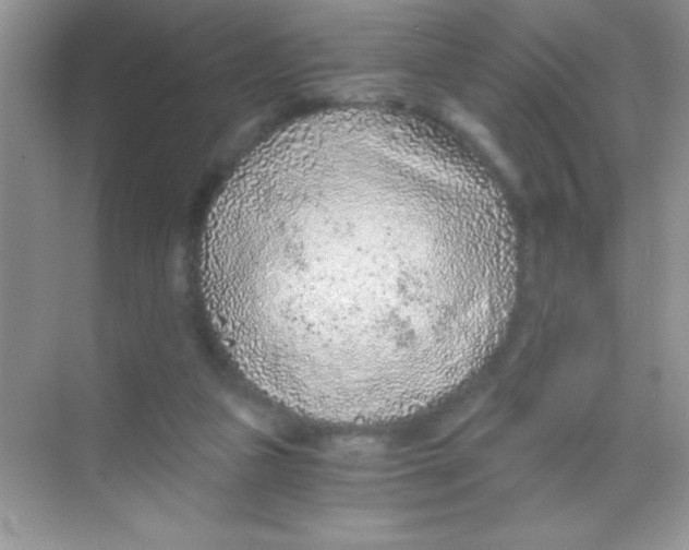 X0000068730161200605192328