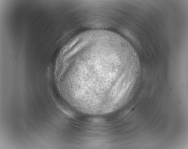 X0000068730165200605192328