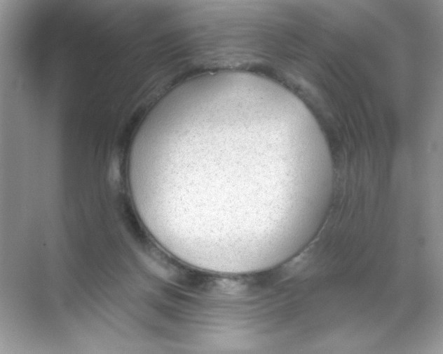 X0000068730166200605192328