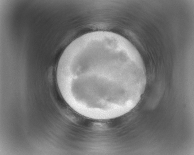 X0000068730167200605192328