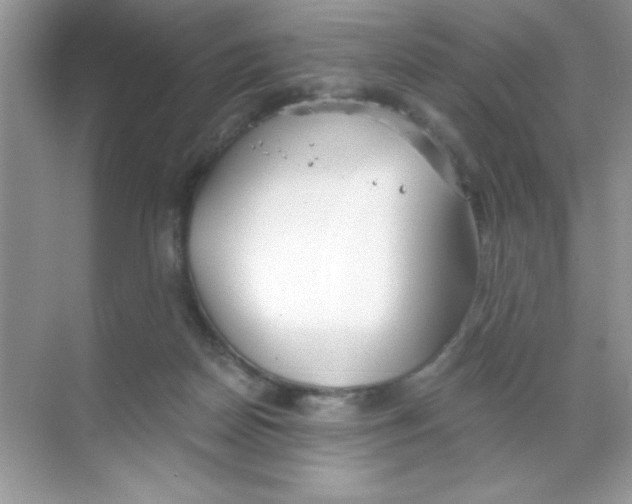 X0000068730170200605192328