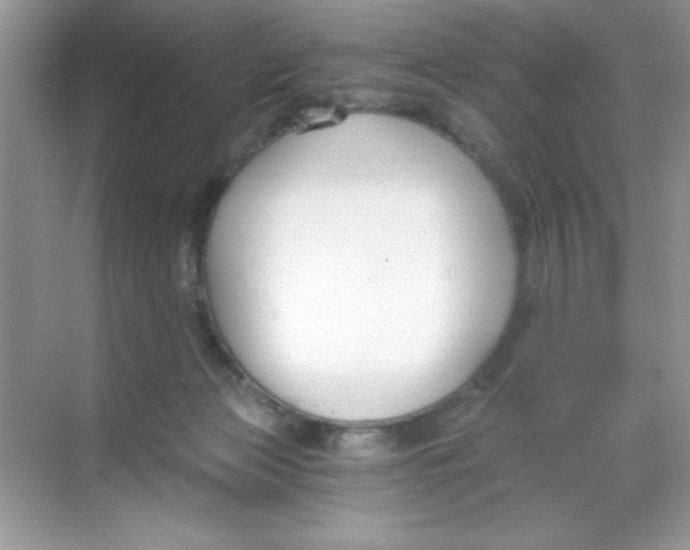 X0000068730173200605192328