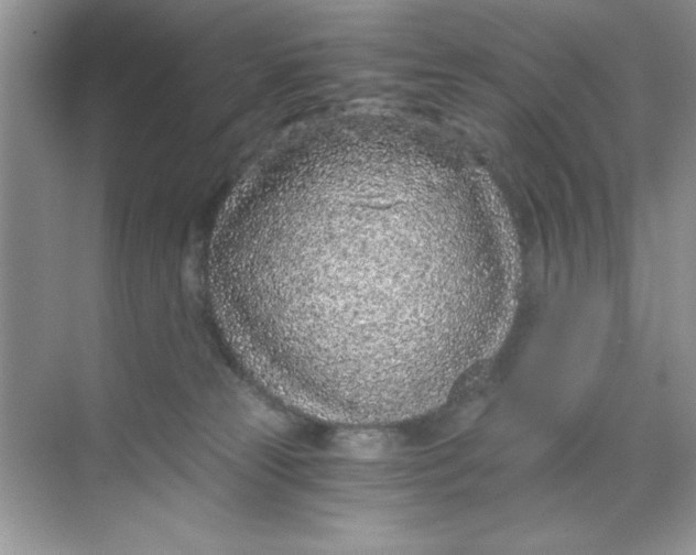 X0000068730181200605192328