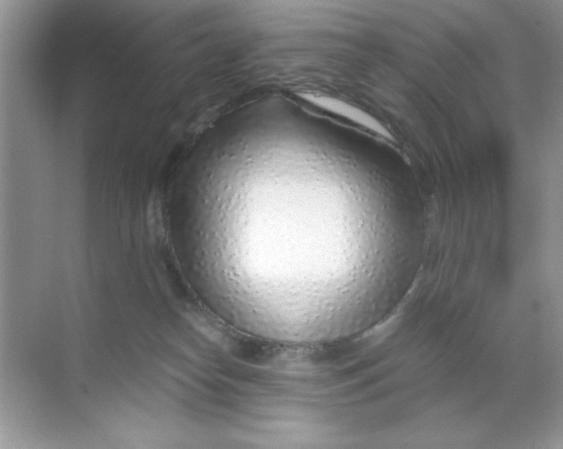 X0000068730182200605192328