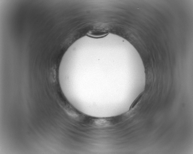 X0000068730183200605192329