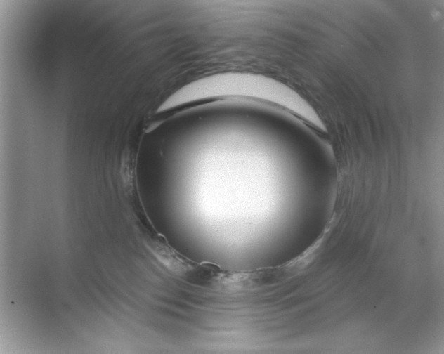 X0000068730186200605192329