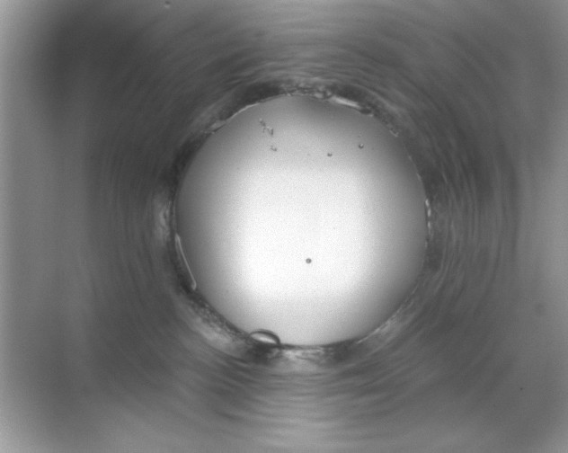 X0000068730188200605192329