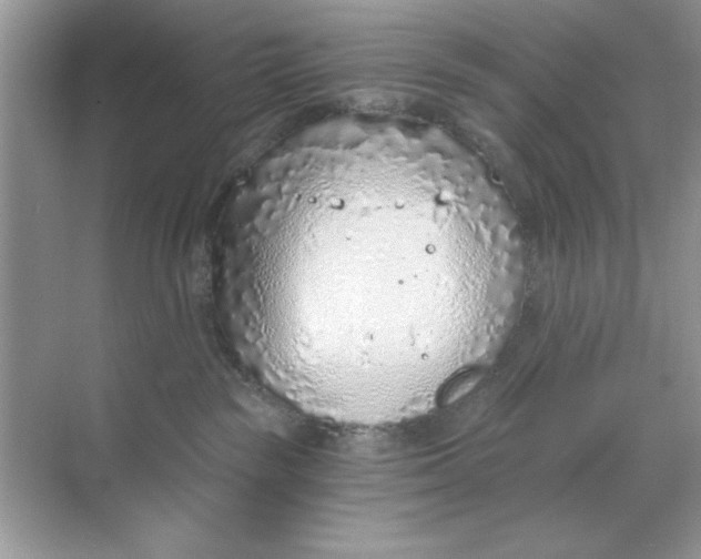 X0000068730189200605192329