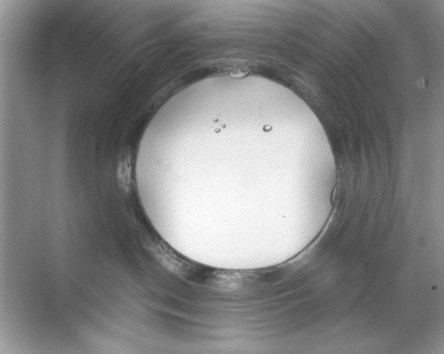 X0000068730190200605192329