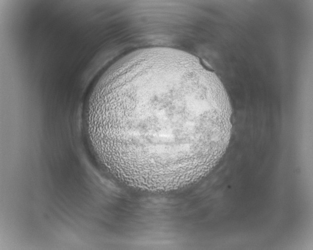 X0000068730194200605192328