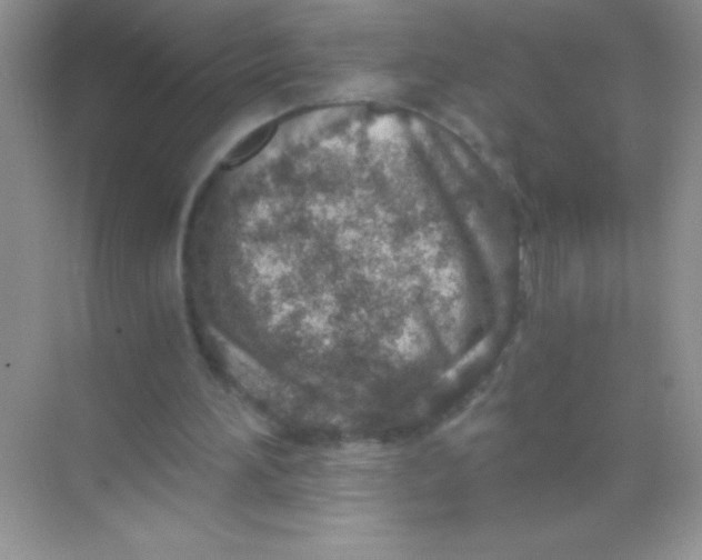 X0000068730196200605192328