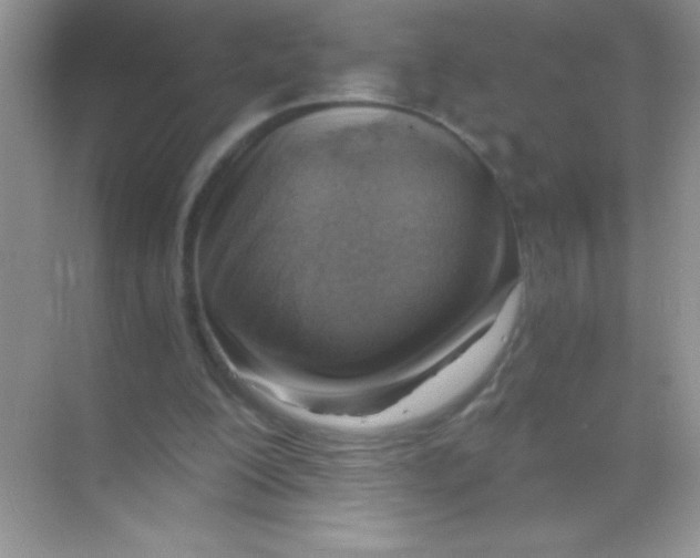 X0000068730200200605192328