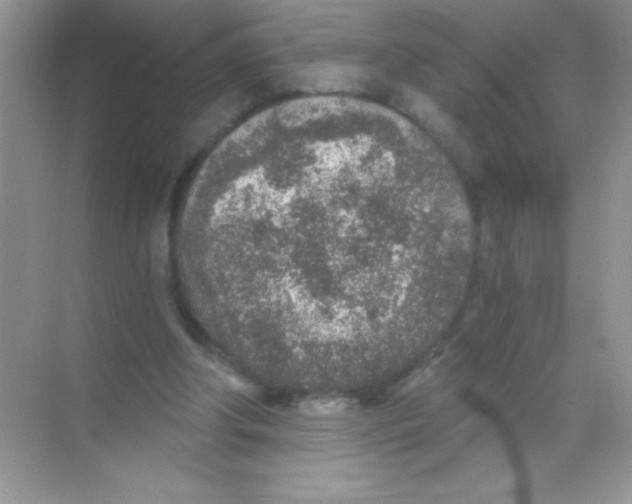 X0000068730202200605192328