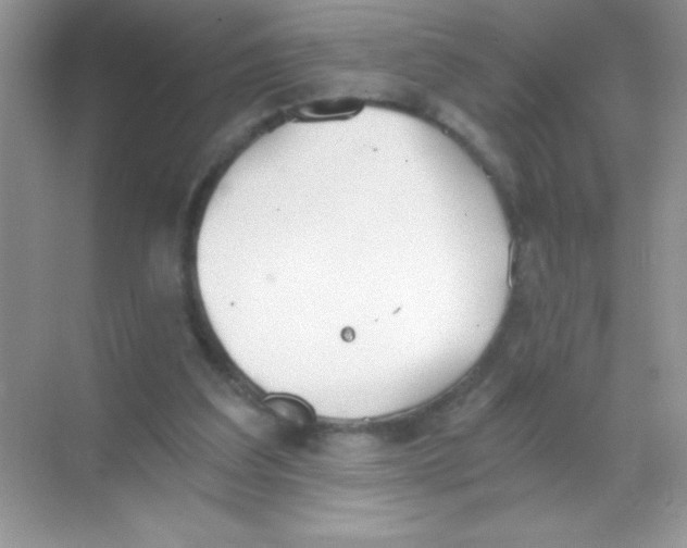 X0000068730203200605192328