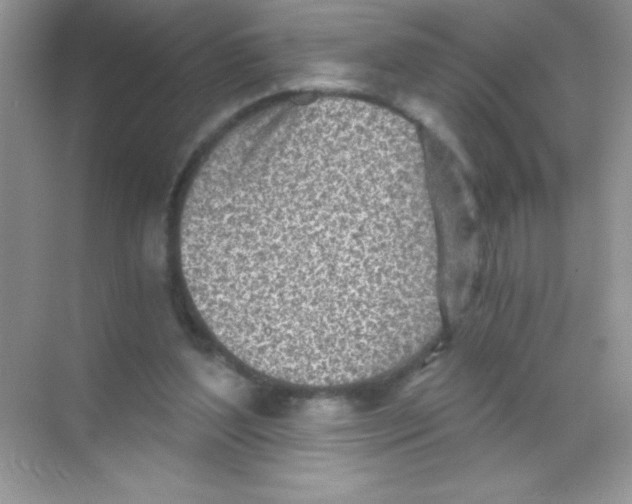 X0000068730204200605192328