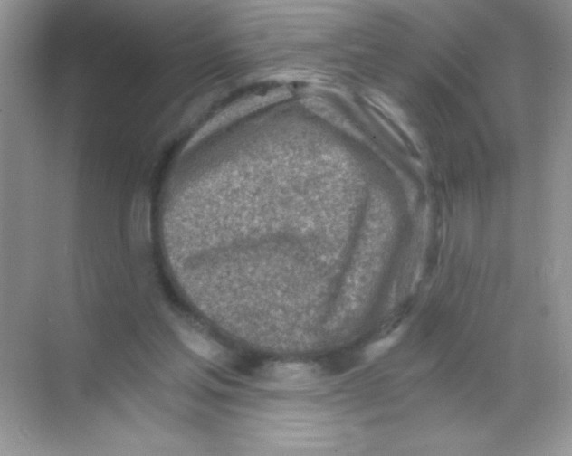 X0000068730205200605192328