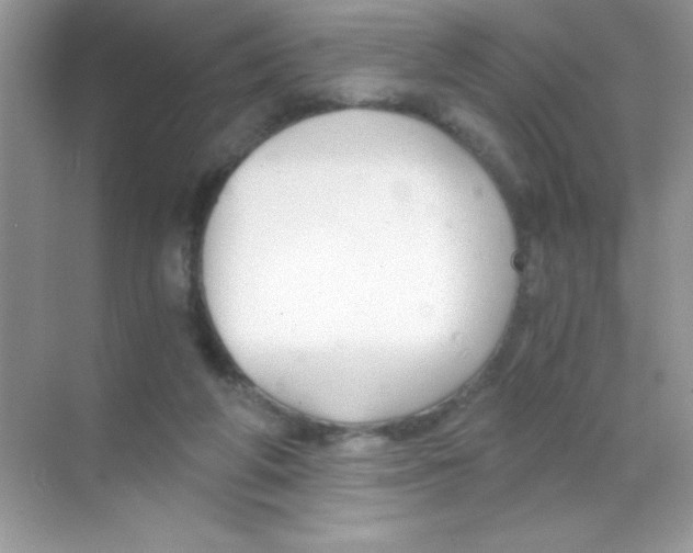 X0000068730210200605192328