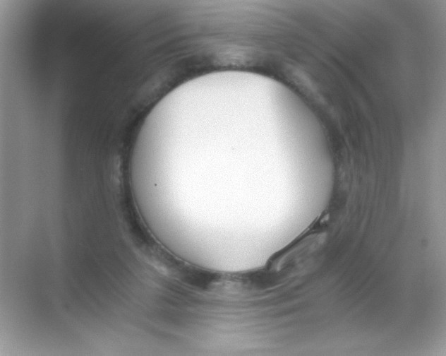 X0000068730211200605192328