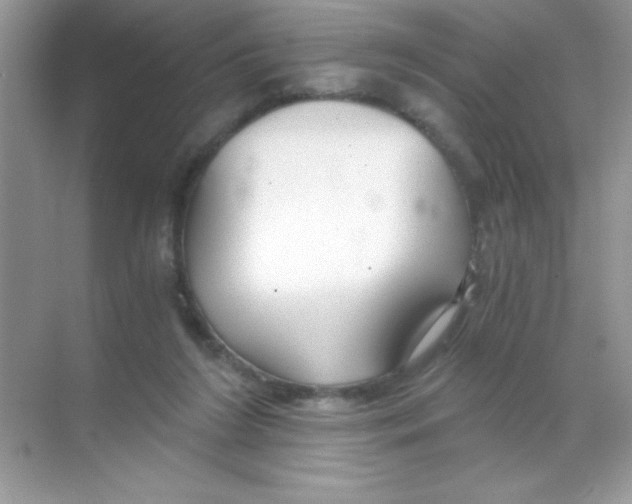 X0000068730212200605192328