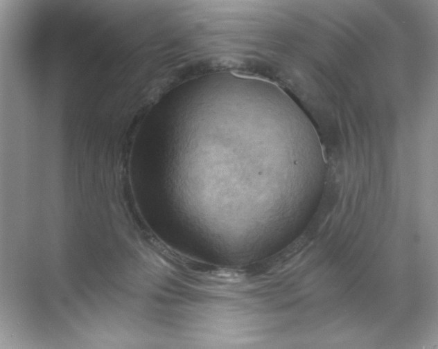 X0000068730223200605192327