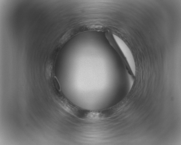 X0000068730227200605192327