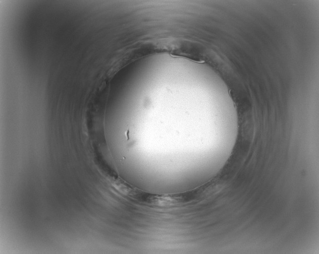 X0000068730229200605192327