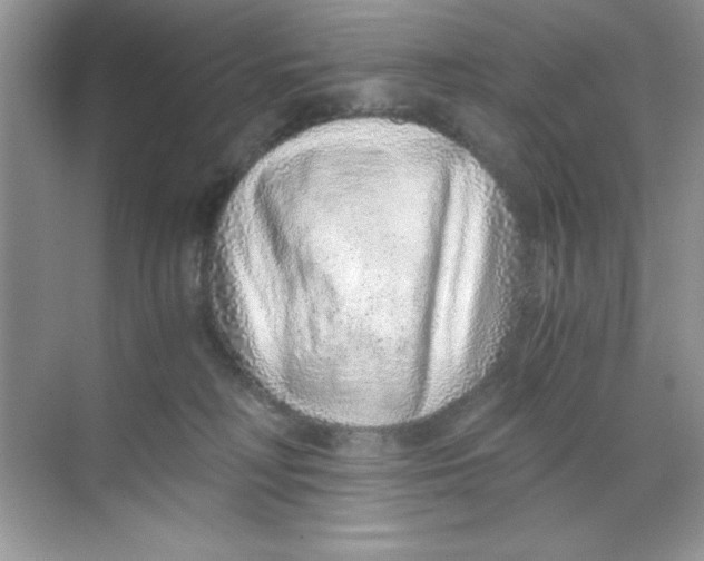 X0000068730230200605192327