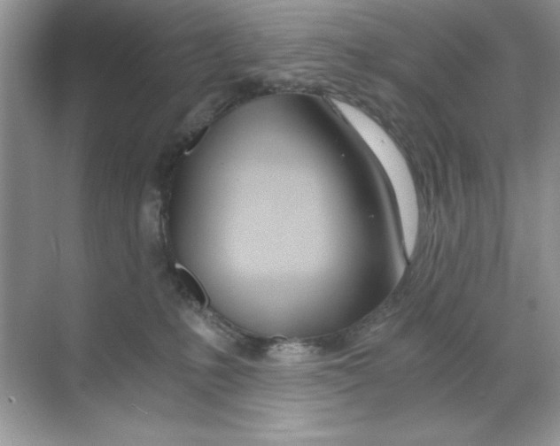 X0000068730231200605192327