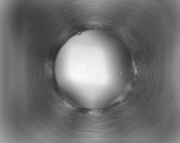 X0000068730232200605192327