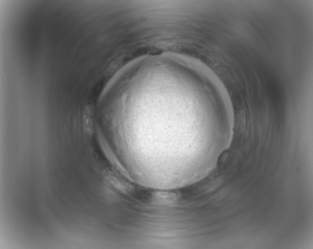 X0000068730234200605192327