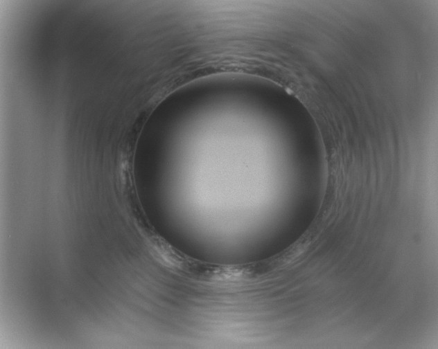 X0000068730235200605192327