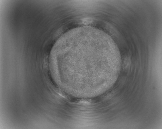 X0000068730236200605192327